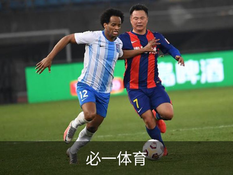 必一体育简介